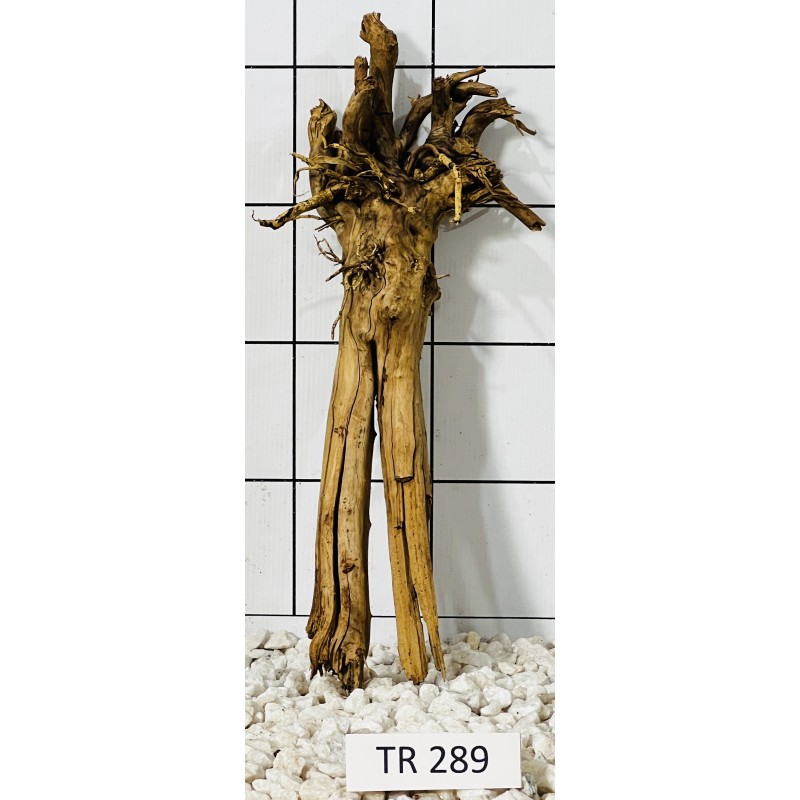 Spiderwood 289