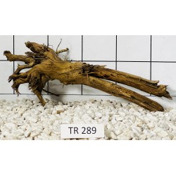 Spiderwood 289