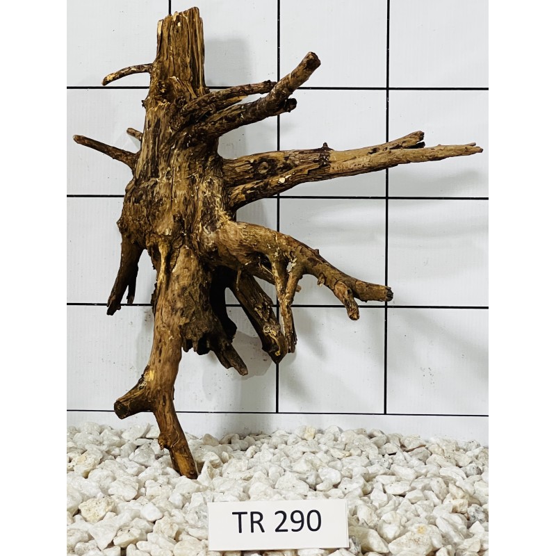 Spiderwood 290