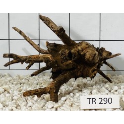 Spiderwood 290