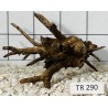 Spiderwood 290