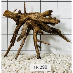 Spiderwood 290