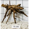 Spiderwood 290
