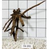 Spiderwood 291