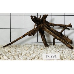 Spiderwood 291