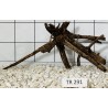 Spiderwood 291