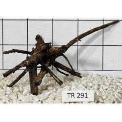 Spiderwood 291