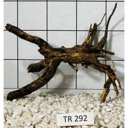 Spiderwood 292
