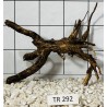 Spiderwood 292