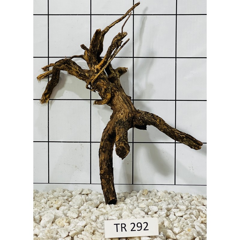 Spiderwood 292