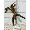 Spiderwood 292