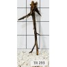 Spiderwood 293