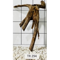 Spiderwood 294