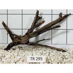 Spiderwood 295