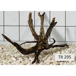 Spiderwood 295