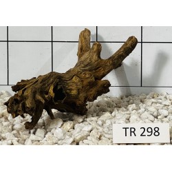 Spiderwood 298