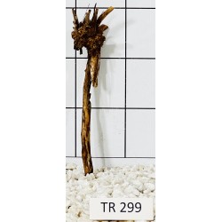 Spiderwood 299