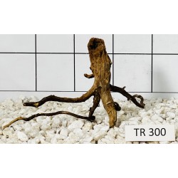 Spiderwood 300