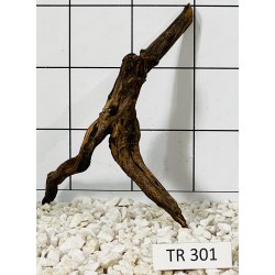 Spiderwood 301
