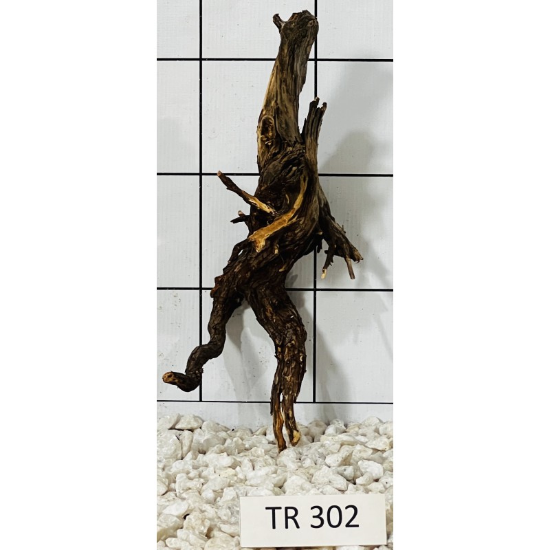 Spiderwood 302