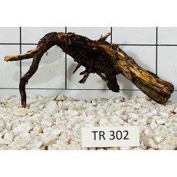 Spiderwood 302