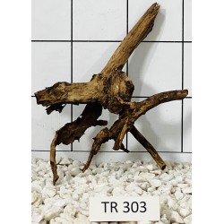 Spiderwood 303