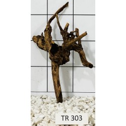 Spiderwood 303