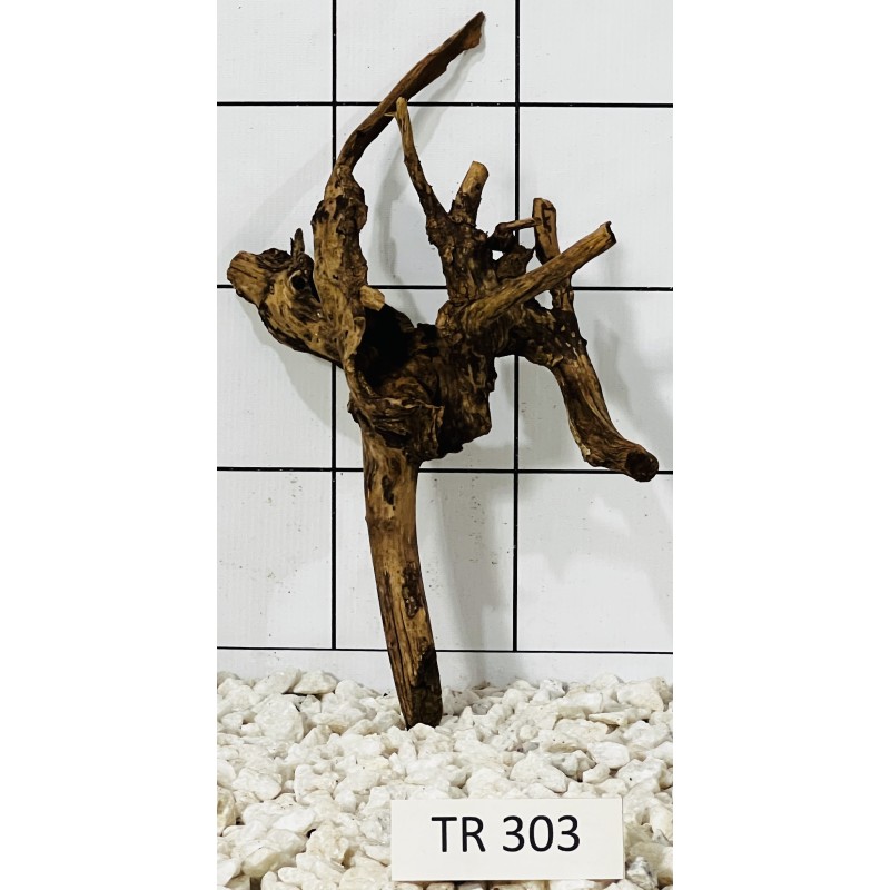 Spiderwood 303
