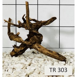 Spiderwood 303