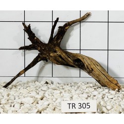 Spiderwood 305