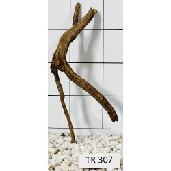 Spiderwood 307