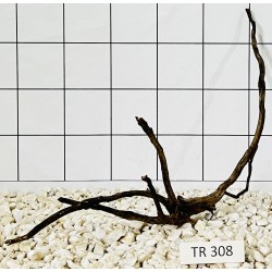 Spiderwood 308