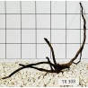 Spiderwood 308