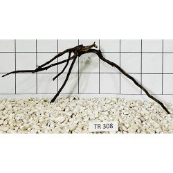Spiderwood 308