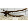 Spiderwood 309