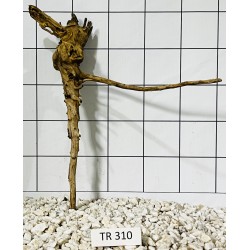 Spiderwood 310