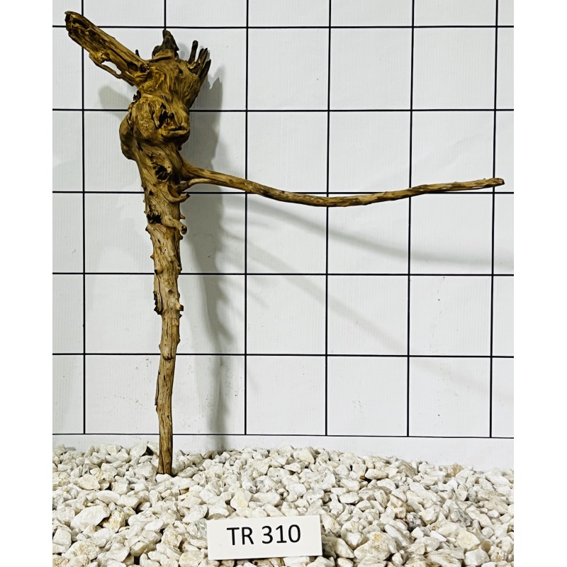 Spiderwood 310
