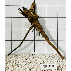 Spiderwood 310