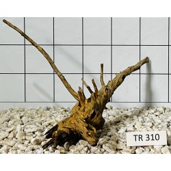 Spiderwood 310