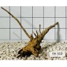 Spiderwood 310