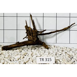 Spiderwood 315