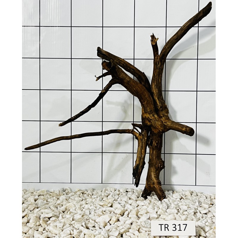 Spiderwood 317