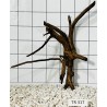 Spiderwood 317