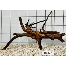 Spiderwood 317