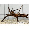 Spiderwood 317