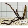 Spiderwood 318