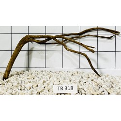 Spiderwood 318