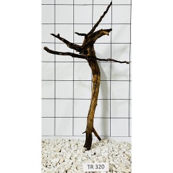 Spiderwood 320