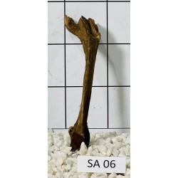 Samoa wood 06