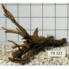 Spiderwood 322